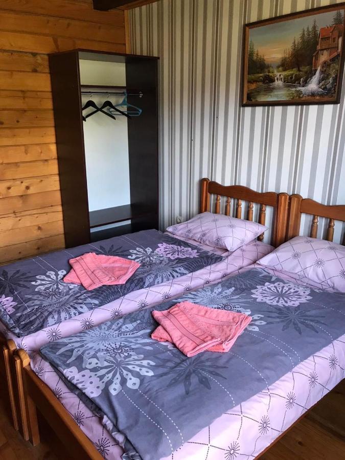 Baza Vidpochynku Ilz Villa สลาฟสเก ภายนอก รูปภาพ
